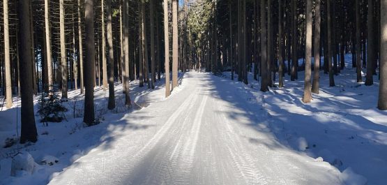 Rozpis lyžování 11. - 21. ledna